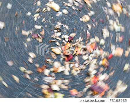 Rotating panning shots of fallen leaves in the park 78168985