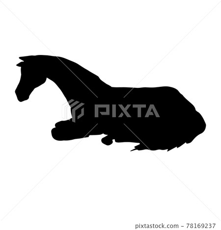 Vector hand drawn laying horse silhouette Vector hand drawn laying horse silhouette 78169237
