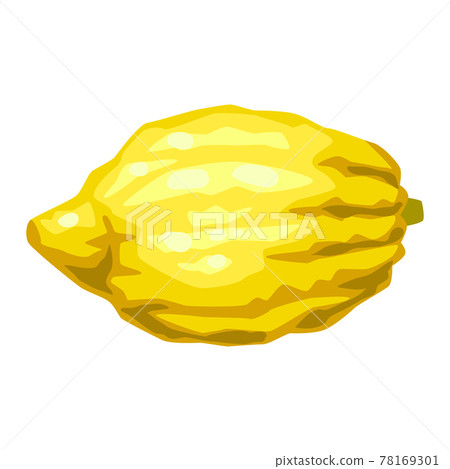 Illustration of etrog Happy Sukkot traditional symbol. Illustration of etrog Happy Sukkot traditional symbol. 78169301