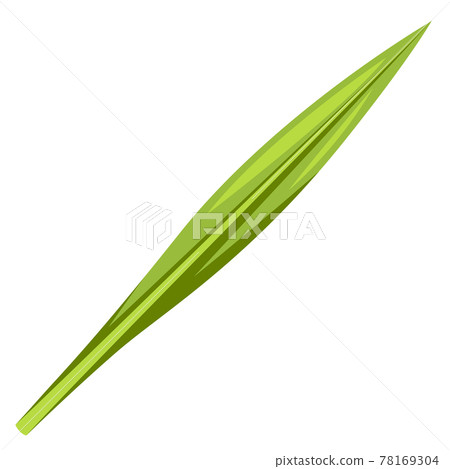 Illustration of lulav Happy Sukkot traditional symbol. Illustration of lulav Happy Sukkot traditional symbol. 78169304