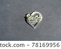 Heart pendant necklace symbol of love Romance Valentine's Day Closeup shoot in a summer day. Selective Focus 78169956