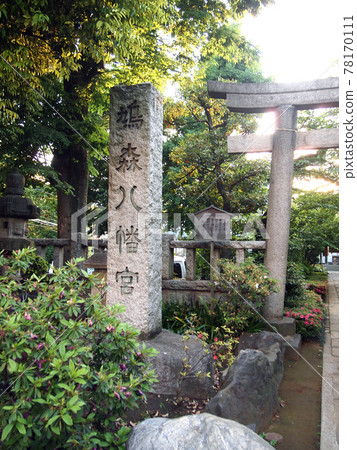 Hatomori Hachimangu Shrine 78170111