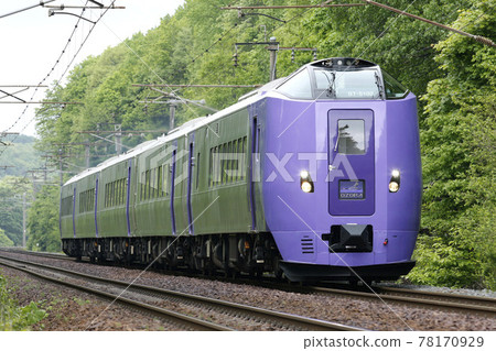 Kiha 261系列薰衣草編隊薰衣草編隊特快小空 78170929