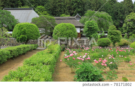 Anrakuji, Ome City 78171802