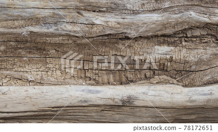 The texture of the tree trunk, the rough gray-brown surface of the wood with a natural pattern. Wood decay. Old grunge dark textured wood background. 78172651