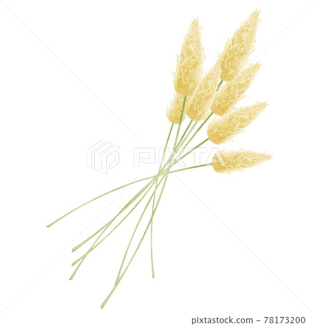 手繪水彩插圖的花束 78173200