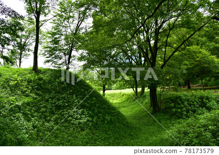 菅谷館（埼玉縣比木郡嵐山町）遺址的天神形土方工程拍攝於5月 78173579