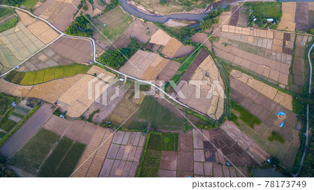 Aerial view of Paddy field after harvesting in Nan, THAILAND Aerial view of Paddy field after harvesting in Nan, THAILAND 78173749