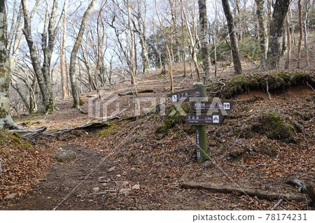 沿著美雪人行道入口的天城山登山道 沿著美雪人行道入口的天城山登山道 78174231