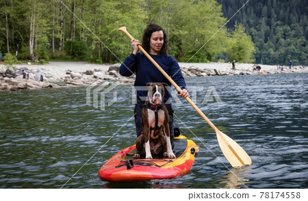 Adult Caucasian Adventure Woman on a paddle board with boxer dog 78174558