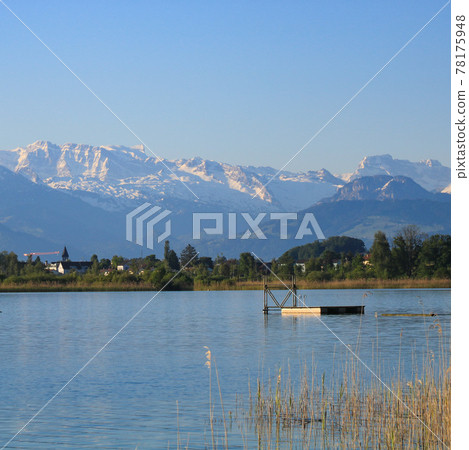 Swimming platform in Seegraben, spring scene in Zurich Canton. Swimming platform in Seegraben, spring scene in Zurich Canton. 78175948