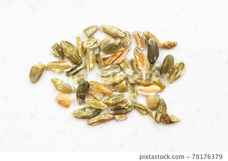 several freekeh wheat grains close up on gray several freekeh wheat grains close up on gray 78176379