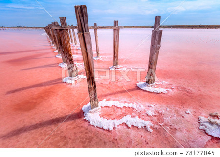 Conceptual photo on a pink salt lake. Minimalistic landscape, Ukraine, nature Conceptual photo on a pink salt lake. Minimalistic landscape, Ukraine, nature 78177045