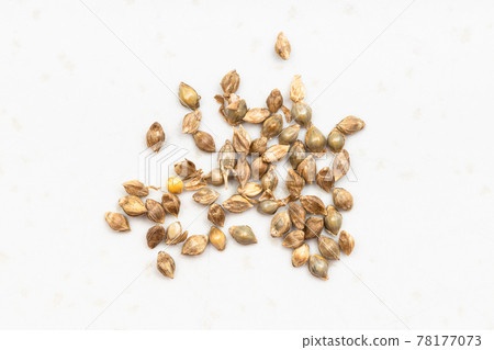 whole-grain barnyard millet seeds close up on gray 78177073