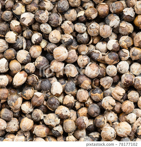 monk's pepper (vitex) close up 78177102