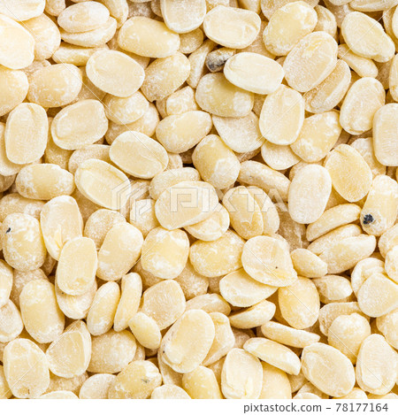 raw urad dal (split black gram) beans close up raw urad dal (split black gram) beans close up 78177164