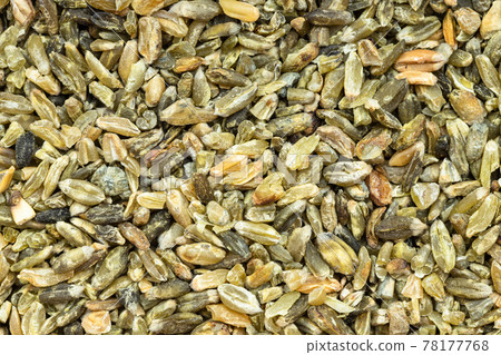 background - freekeh wheat grains background - freekeh wheat grains 78177768