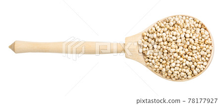 top view of raw unpolished Sorghum grains in spoon top view of raw unpolished Sorghum grains in spoon 78177927