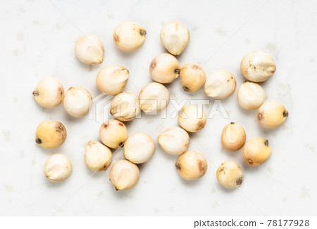 several raw unpolished Sorghum grains close up several raw unpolished Sorghum grains close up 78177928