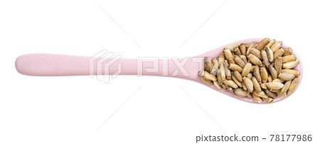 top view of ceramic spoon with milk thistle seeds top view of ceramic spoon with milk thistle seeds 78177986