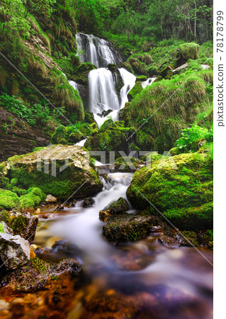 The waterfall of the Eenna river springs in Valle Taleggio Brembana The waterfall of the Eenna river springs in Valle Taleggio Brembana 78178799