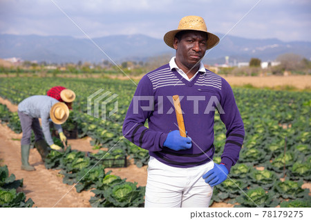 Portrait of american male farmer in straw hat 78179275