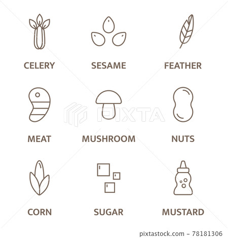 Allergen line icon set. Celery sesame, feather meat, mushroom nuts, corn, sugar mustard free badges. Allergy warning ingredients labels. Healthy food. Vector illustration 78181306