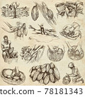 Cocoa harvesting and processing. Agriculture. An hand drawn illustrations on old paper. Cocoa harvesting and processing. Agriculture. An hand drawn illustrations on old paper. 78181343