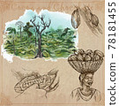 Cocoa harvesting. Agriculture. An hand drawn vector illustrations on an vintage background. Cocoa harvesting. Agriculture. An hand drawn vector illustrations on an vintage background. 78181455