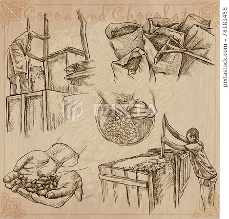 Cocoa harvesting. Agriculture. An hand drawn vector illustrations on an vintage background. Cocoa harvesting. Agriculture. An hand drawn vector illustrations on an vintage background. 78181458