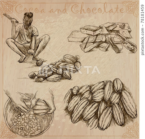 Cocoa harvesting. Agriculture. An hand drawn vector illustrations on an vintage background. Cocoa harvesting. Agriculture. An hand drawn vector illustrations on an vintage background. 78181459