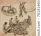 Cocoa harvesting. Agriculture. An hand drawn vector illustrations on an vintage background. Cocoa harvesting. Agriculture. An hand drawn vector illustrations on an vintage background. 78181460