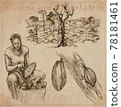 Cocoa harvesting. Agriculture. An hand drawn vector illustrations on an vintage background. Cocoa harvesting. Agriculture. An hand drawn vector illustrations on an vintage background. 78181461