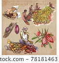 Cocoa harvesting and processing. Agriculture. An hand drawn vector illustrations on an vintage background. Cocoa harvesting and processing. Agriculture. An hand drawn vector illustrations on an vintage background. 78181463