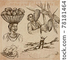 Cocoa harvesting. Agriculture. An hand drawn vector illustrations on an vintage background. Cocoa harvesting. Agriculture. An hand drawn vector illustrations on an vintage background. 78181464