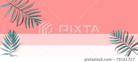 Tropical palm leaves from above Tropical palm leaves from above 78181727