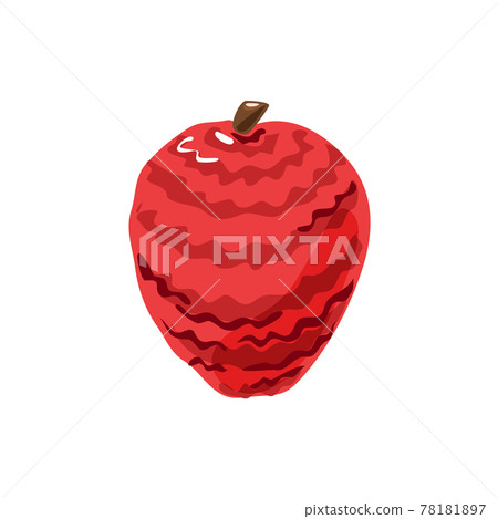Colorful lychee on a white isolated background. Vector. Colorful lychee on a white isolated background. Vector. 78181897