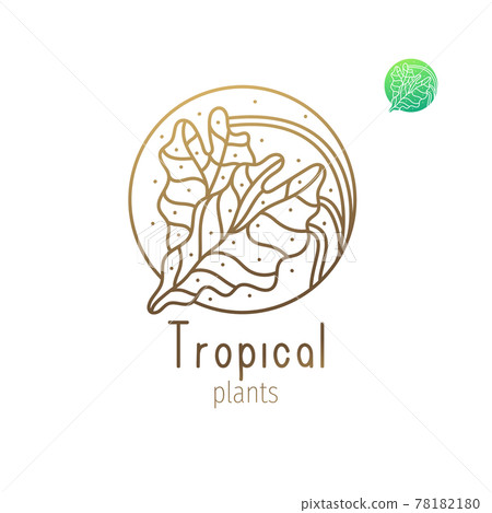 Tropical floral herb Tropical floral herb 78182180