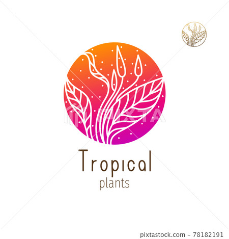 Tropical floral herb Tropical floral herb 78182191