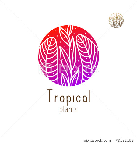 Tropical jungle logo Tropical jungle logo 78182192