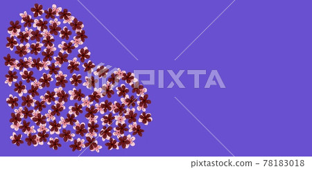 Modern Business card Design Template with heart made of pink,cherry sakura flowers decoration on blueviolet background.Copy space.Template of premium gift voucher,discount coupon,Greeting card,packing Modern Business card Design Template with heart made of pink,cherry sakura flowers decoration on blueviolet background.Copy space.Template of premium gift voucher,discount coupon,Greeting card,packing 78183018