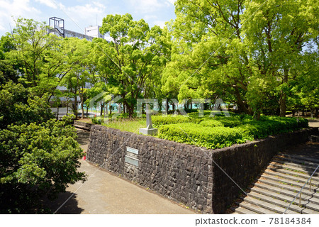 新綠，千葉縣船橋市，縣立行田公園，西大廣場 78184384