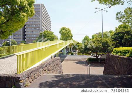 新綠、千葉縣船橋市、行田公園、人行天橋 78184385