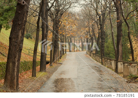 Autumn Autumn 78185191