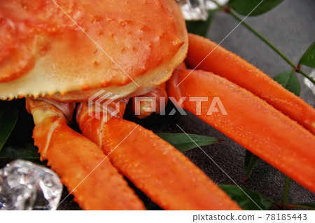 松葉蟹 松葉蟹 78185443