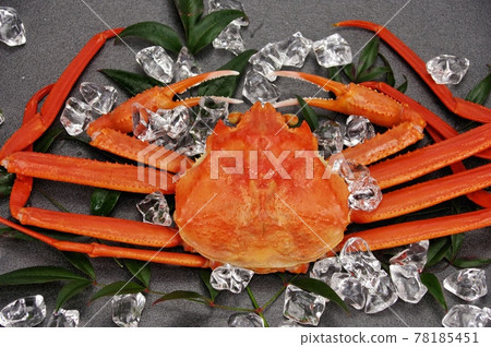 Matsuba crab 78185451