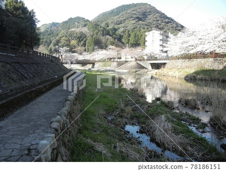 River scenery in Japan: Yumoto Onsen, Nagato City, Yamaguchi Prefecture and the Otozure River upstream of the Fukagawa River where Nishikigoi swim River scenery in Japan: Yumoto Onsen, Nagato City, Yamaguchi Prefecture and the Otozure River upstream of the Fukagawa River where Nishikigoi swim 78186151