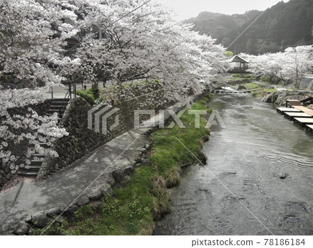 River scenery in Japan: The clear stream of the Otozure River that flows through Nagato Yumoto Onsen 78186184