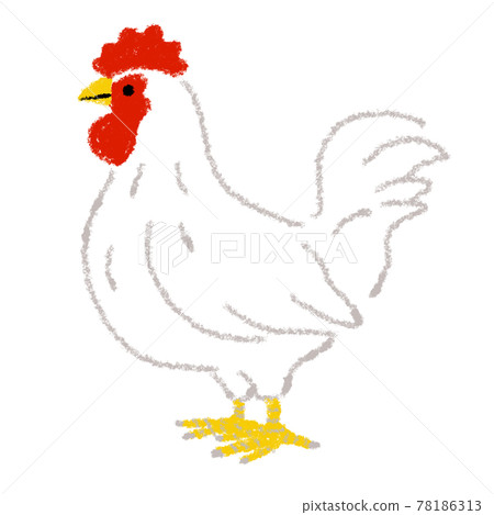 Chicken chicken illustration hand-painted crayon Chicken chicken illustration hand-painted crayon 78186313