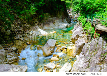 加基河谷 78186419